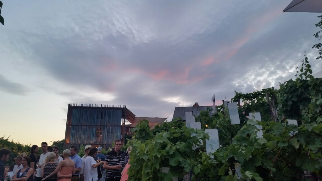 wpid-20150715_212725.jpg